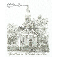 St. Bernards